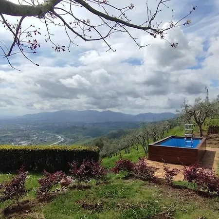 Holiday home Casale Colle Belvedere