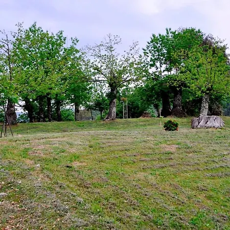 Holiday home Casale Colle Belvedere