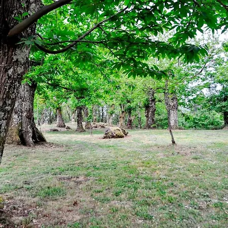Holiday home Casale Colle Belvedere Lucca